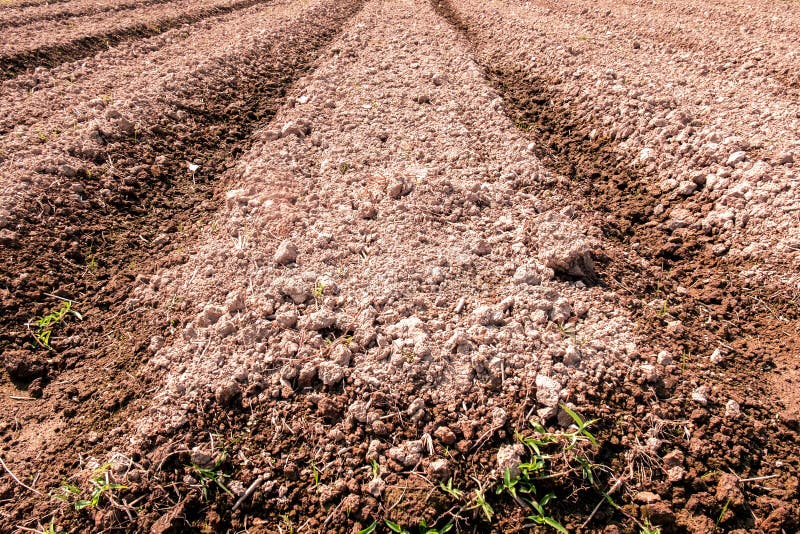 Dry soil for plants stock photo. Image of agriculture 71607684