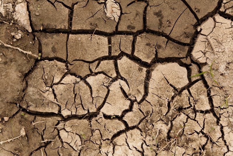 Dry soil texture stock photos