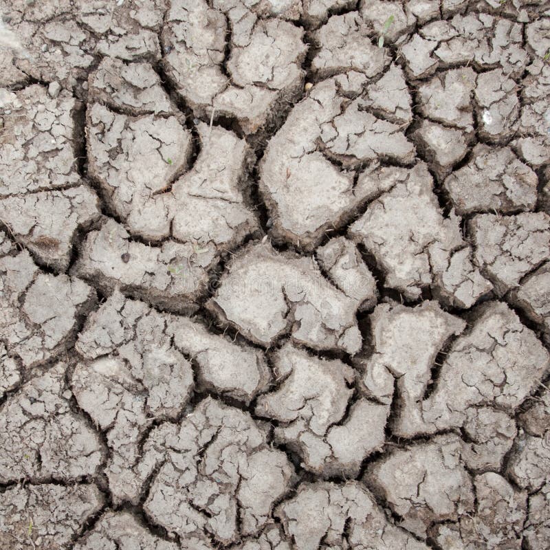 Close-up of dry soil texture with cracks