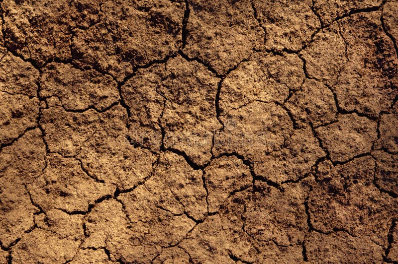 Dry soil texture stock photos
