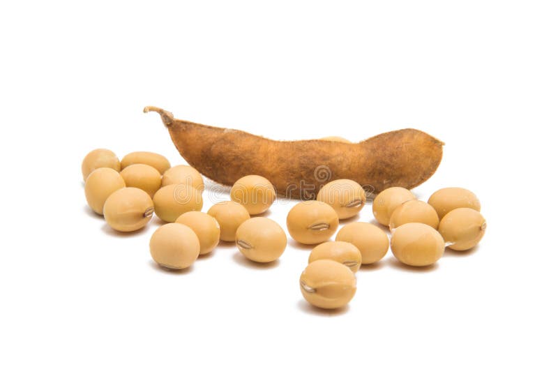 Dry soy beans stock photo. Image of healthy, beans, snack - 103889738