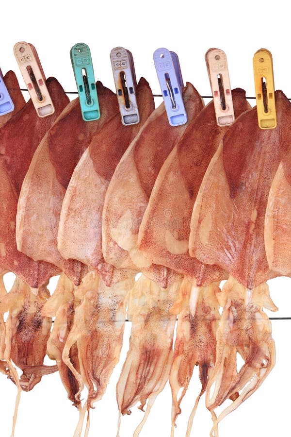Dry squid stock image. Image of healthy, fish, brown 15336059