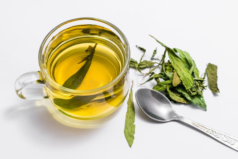 109 Herbal Tea Cup Stevia Leaves Stock Photos Free & RoyaltyFree