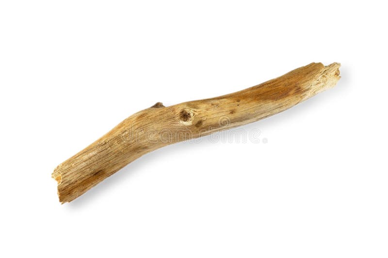 Dry Stick on White Background Stock Image - Image of rotten, season