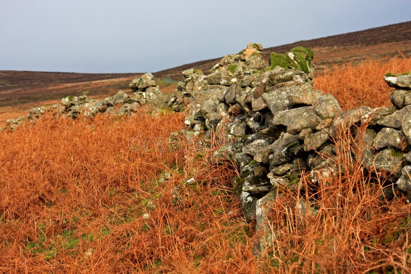 Dry stone wall on Hameldown on Dartmoor