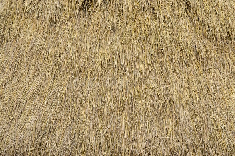 Dry Straw Neatly Stacked Vertically Grass Hay Background Texture