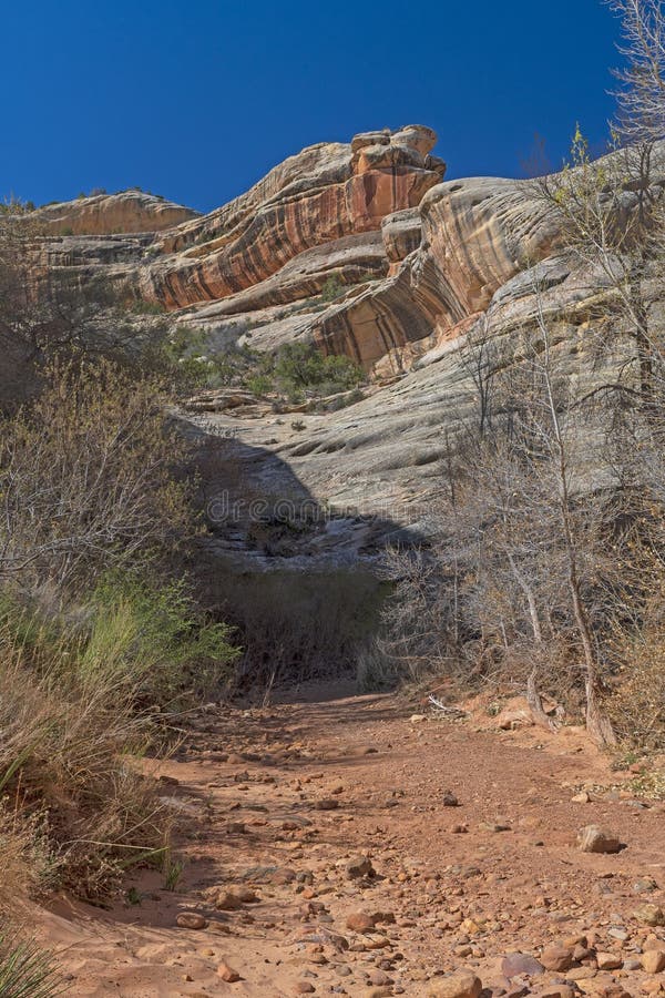 Dry Streambed in a Desert Canyon Stock Photo Image of bridge Dry Streambed in a Desert Canyon Stock Photo Image of bridge