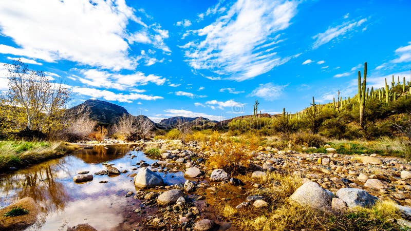 The almost dry Sycamore Creek in the McDowell Mountain Range in Northern Arizona