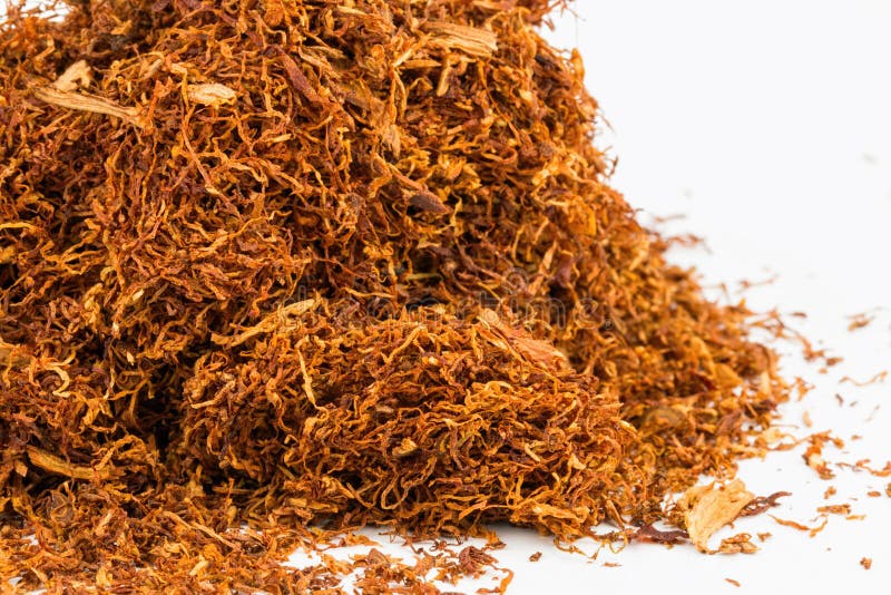 Dry tobacco. stock photo. Image of plan, group, macro 65625548