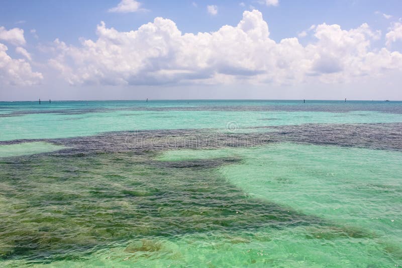 Dry Tortugas tropical sea royalty free stock photography Dry Tortugas tropical sea royalty free stock photography