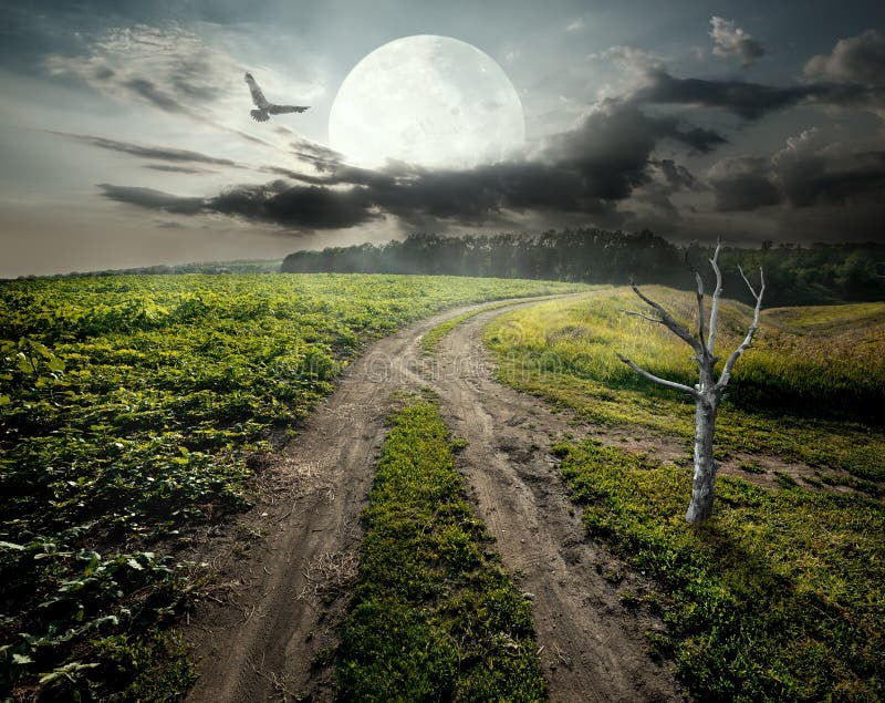 Dry tree and moon