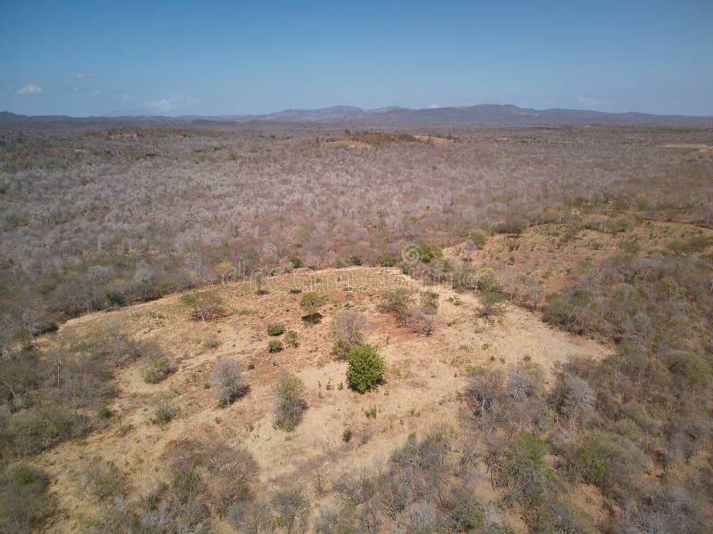 Dry tropical forest landscape