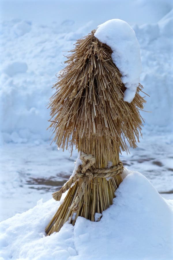 Dry Winter growth stock photo. Image of winter, straw 57383822