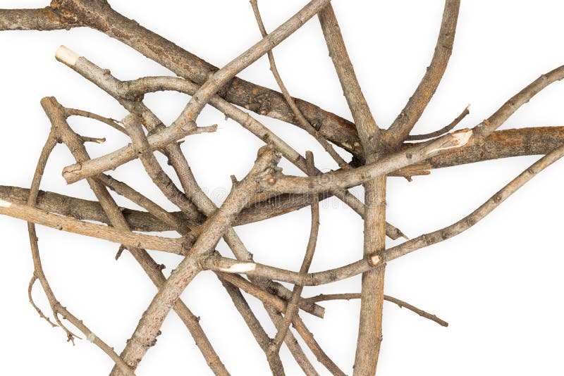 Dry wood branches stock photo. Image of stick, collection 46534308