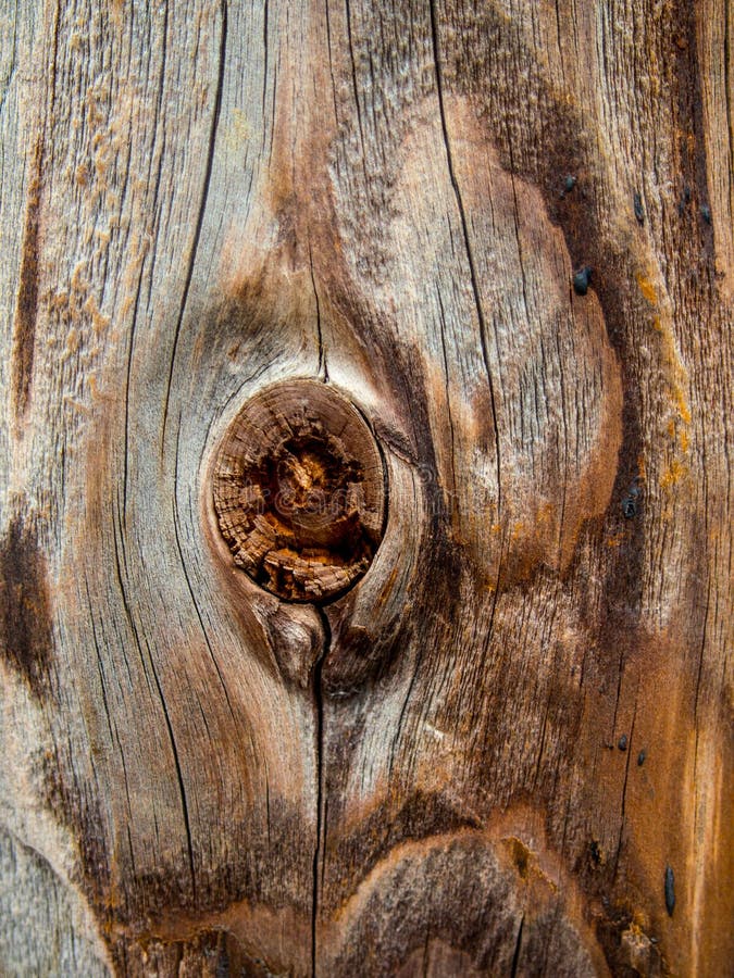 Wood Knot Texture stock image. Image of wood, pattern 38158435