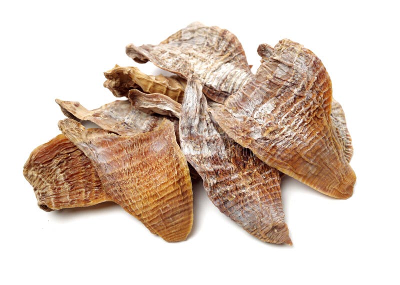 Dry young bamboo shoot stock image. Image of antioxidant 145452227