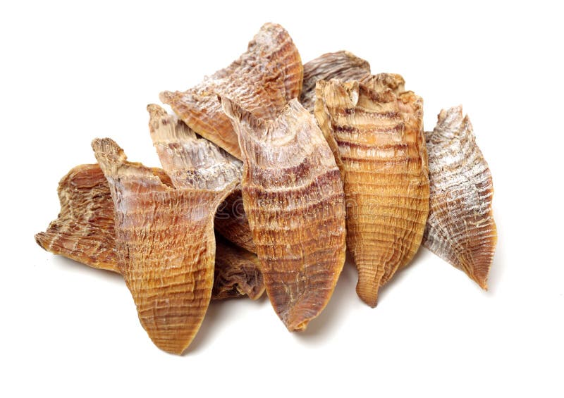 Dry young bamboo shoot stock photo. Image of nature 149861542