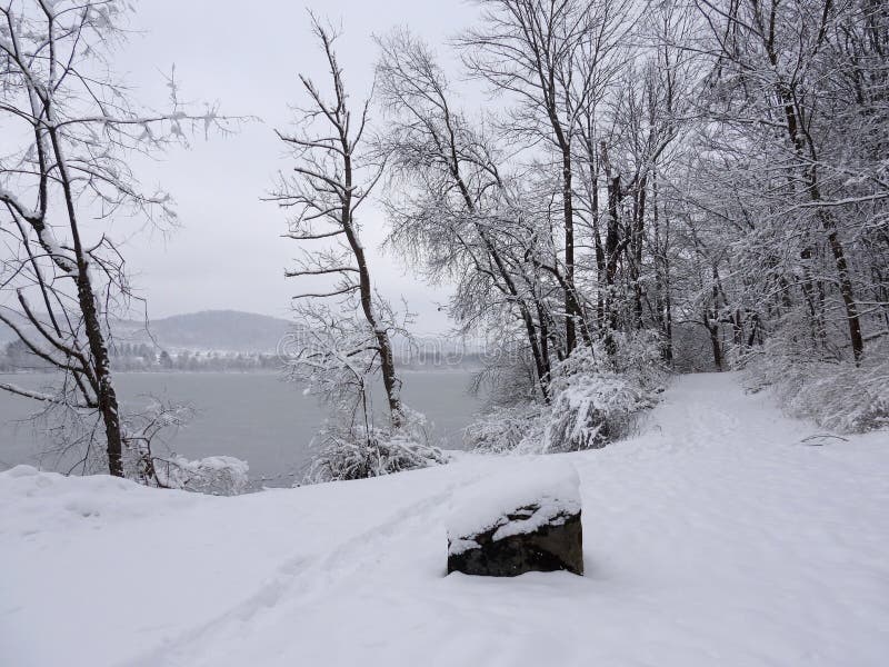Dryden Lake Park Schug Hiking Trail Snow Covered in Wintertime Stock