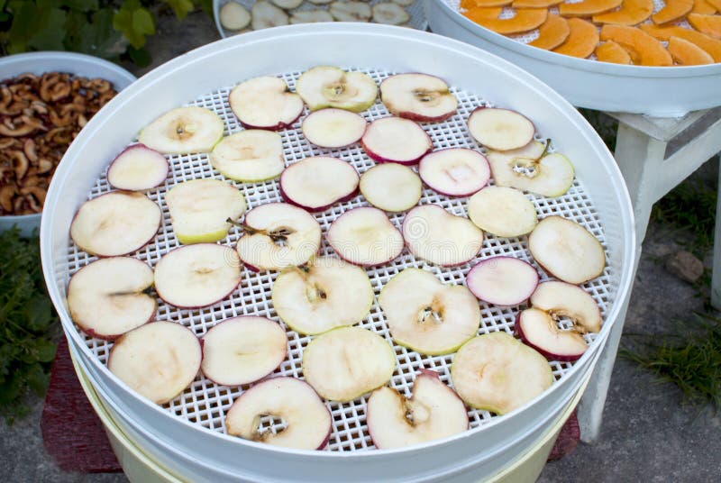 Drying Apples Cut into Thin Circles and Other Fruits Stock Photo