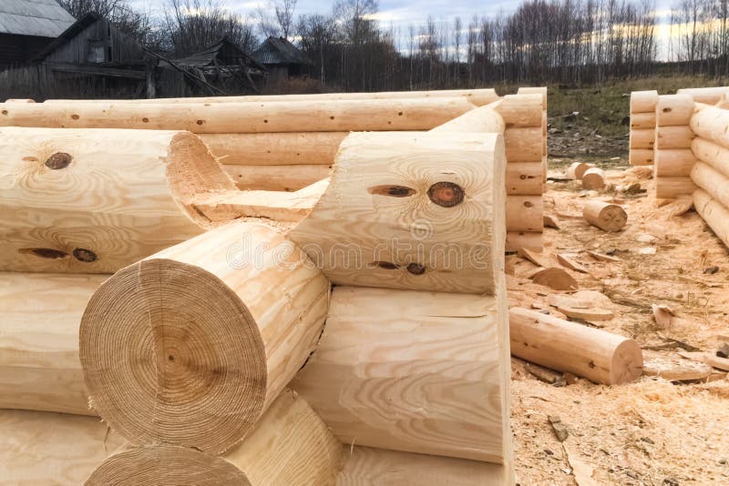 Drying and Assembly of Wooden Log House at a Construction Base Stock