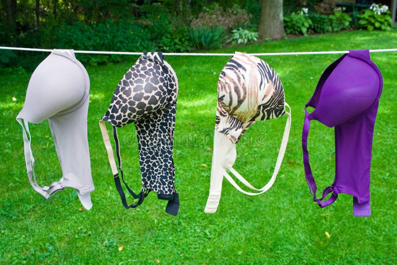 Drying bras stock photo. Image of style, clothesline 32932494
