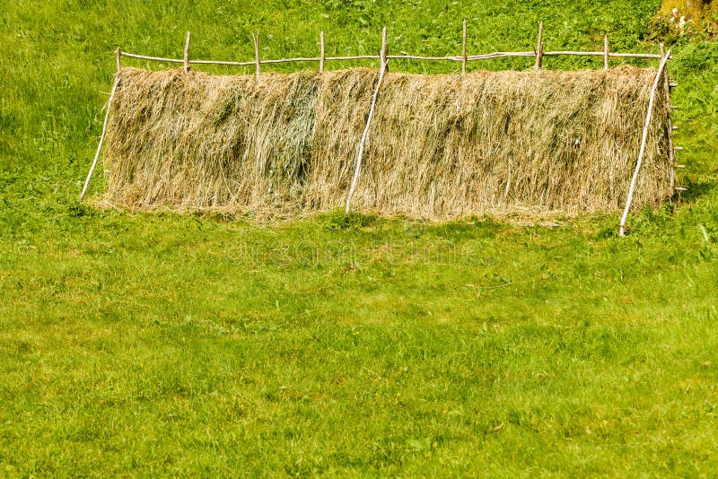 Drying Grass Hay Straws On Wooden Fence Stock Image Image Of Fence