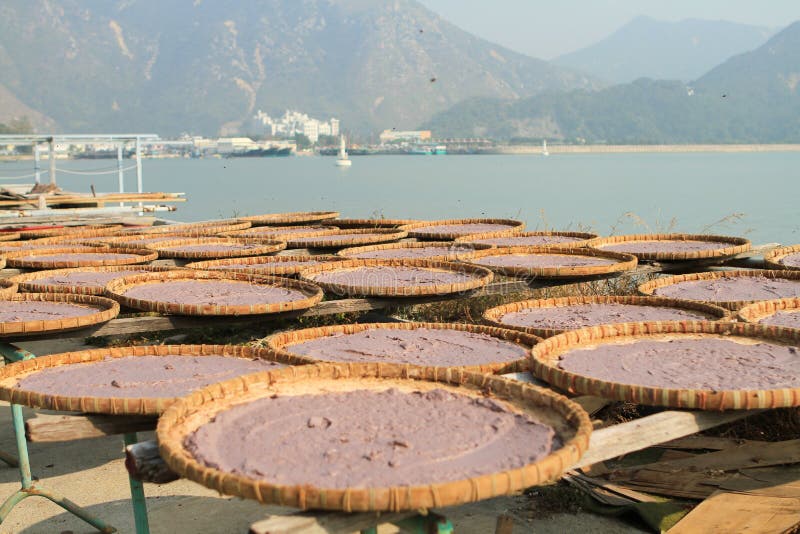 drying homemade shrimp paste under the sun in Tai O, 1 Jan 2012 royalty free stock images