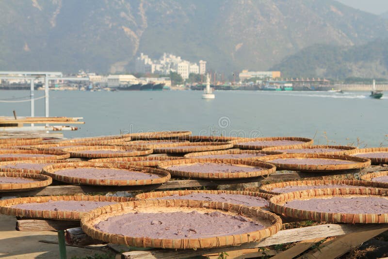 drying homemade shrimp paste under the sun in Tai O, 1 Jan 2012 royalty free stock image