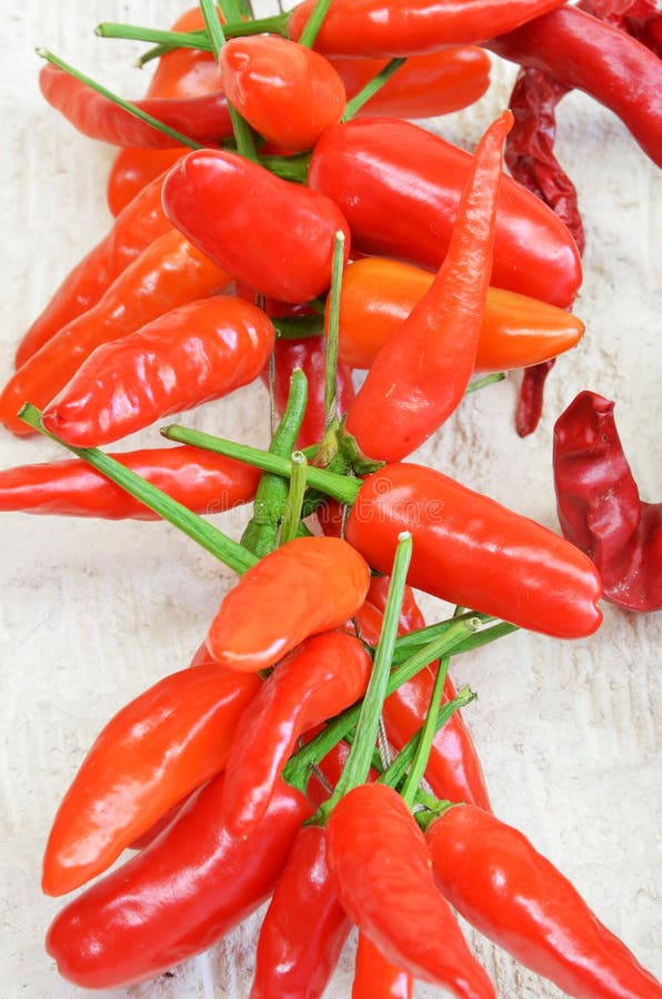 Drying chili peppers stock image. Image of chili, spice 27493047