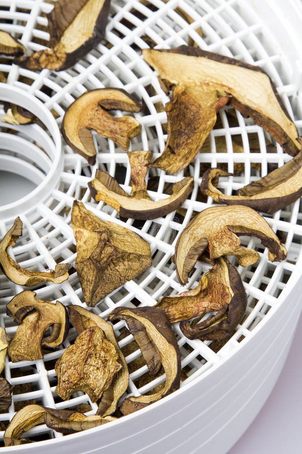 Drying mushrooms stock photo. Image of food, cuisine 45994058