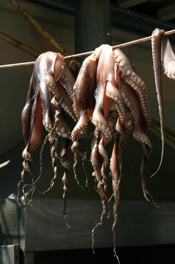 Drying octopus