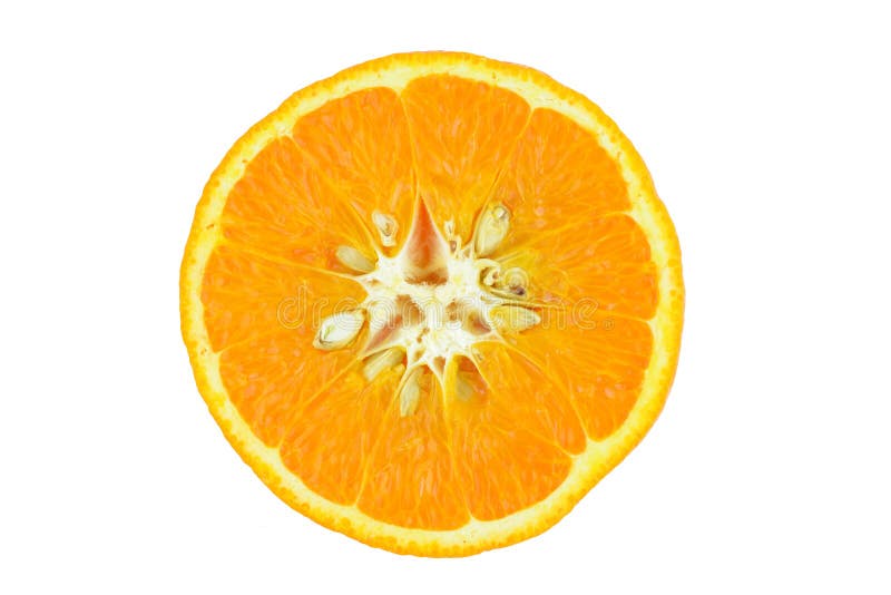 Orange Slice With Seeds Stock Photo Image Of Edible 14822962