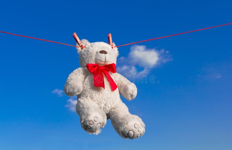 Drying teddy bear on a rope