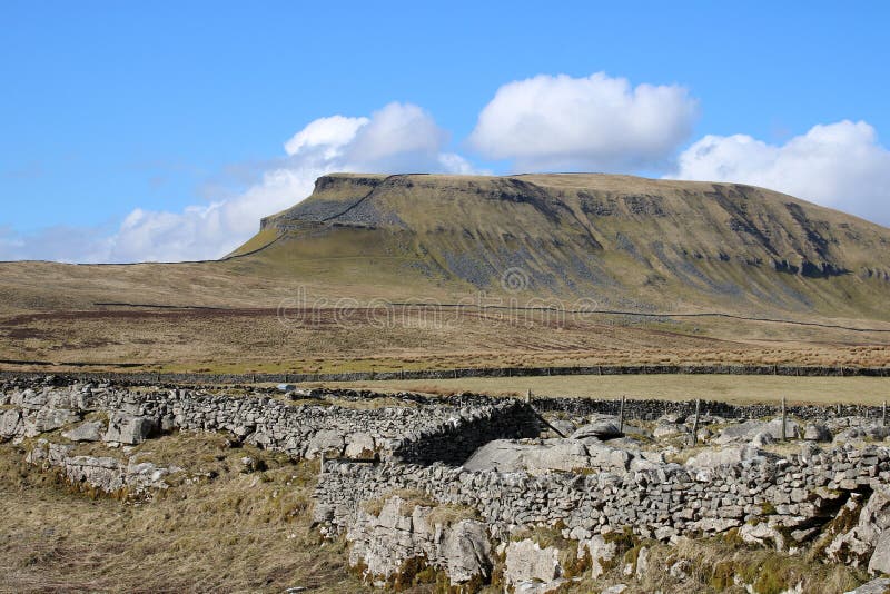 Drystone wall in view Pen-y-ghent North Yorkshire