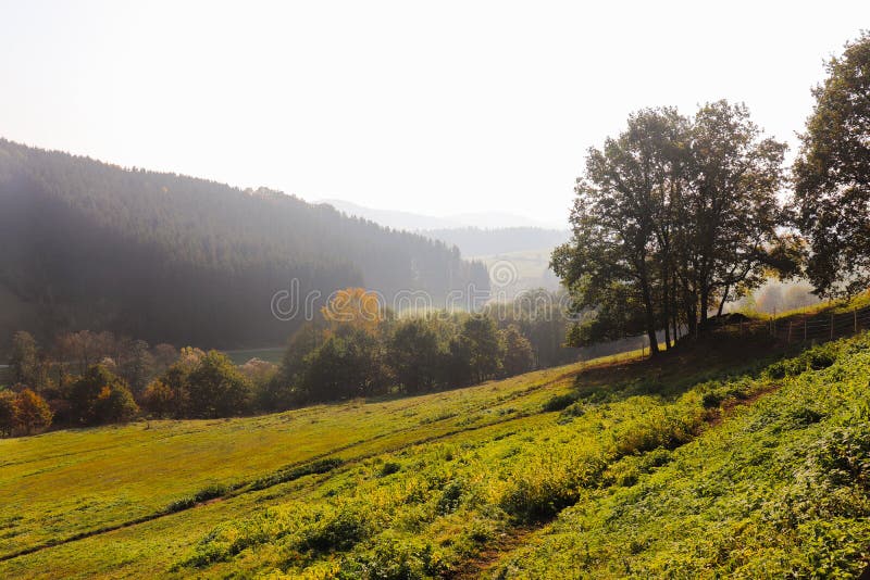 Drzewa na ??ka krajobrazie w wczesnej jesieni panoramie fotografia stock Drzewa na ??ka krajobrazie w wczesnej jesieni panoramie fotografia stock