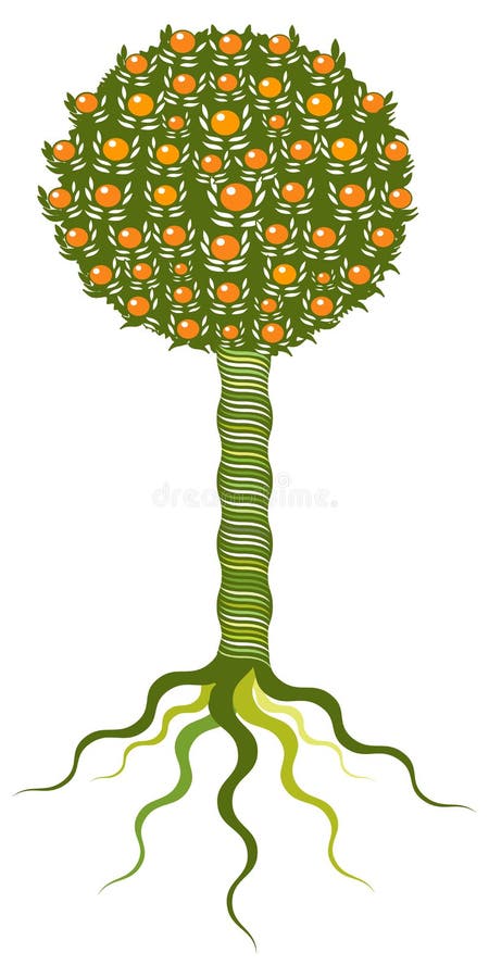 drzewa pomarańczowe ilustracja wektor drzewa pomarańczowe ilustracja wektor