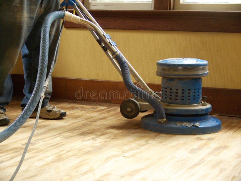 drzewa sanding twardego podłoża zdjęcia stock drzewa sanding twardego podłoża zdjęcia stock