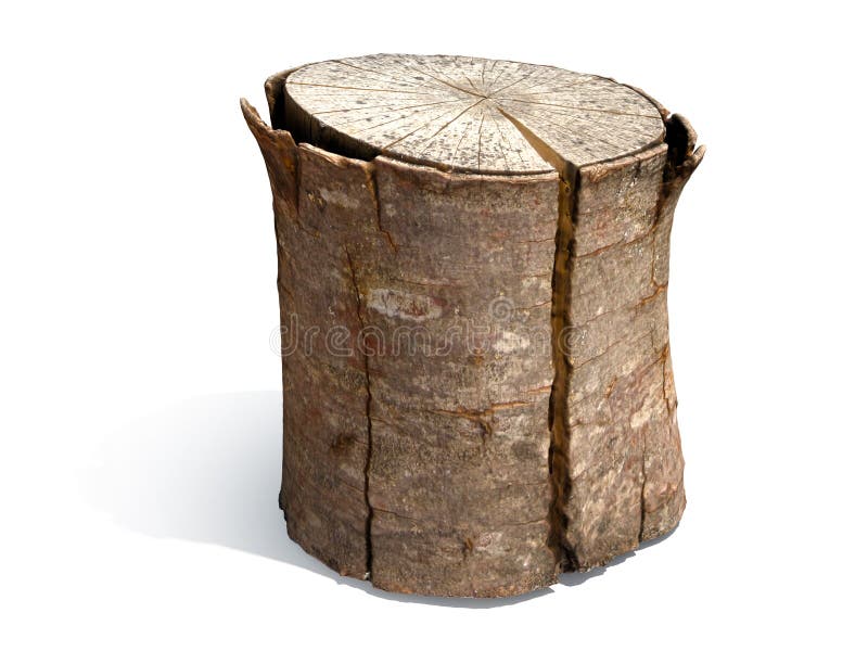 Drzewny bagażnik zdjęcie stock Drzewny bagażnik zdjęcie stock