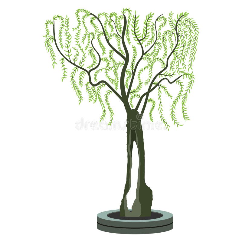 Drzewo Oliwne Symboliczny Rysunek Drzewo Oliwne Ilustracja