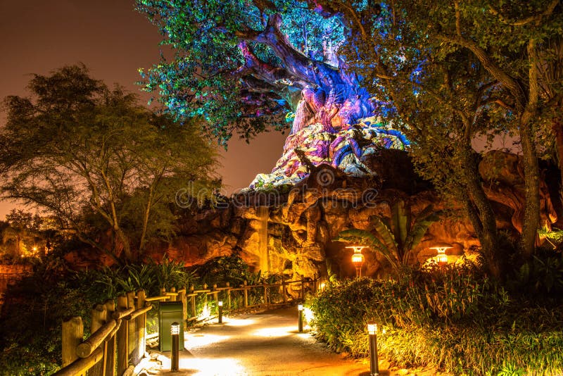 Orlando, Florida. December 16, 2019. Tree of Life Awakenings in Christmas season at Animal Kingdom 1. Orlando, Florida. December 16, 2019. Tree of Life Awakenings in Christmas season at Animal Kingdom 1.