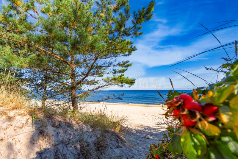 Drömmande tom baltisk havsstrand på ön nära Zinnowitz arkivbild