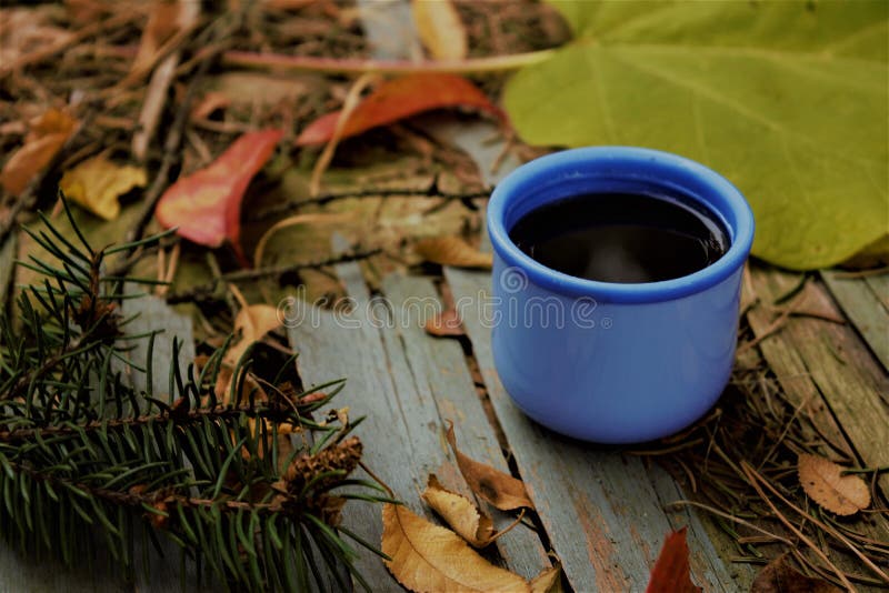 Autumn cup tea