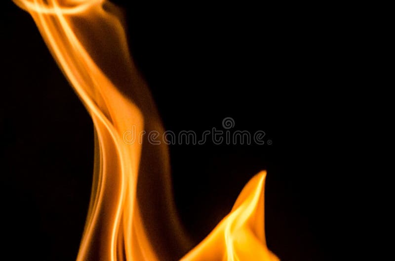 _DSC6554 stock image