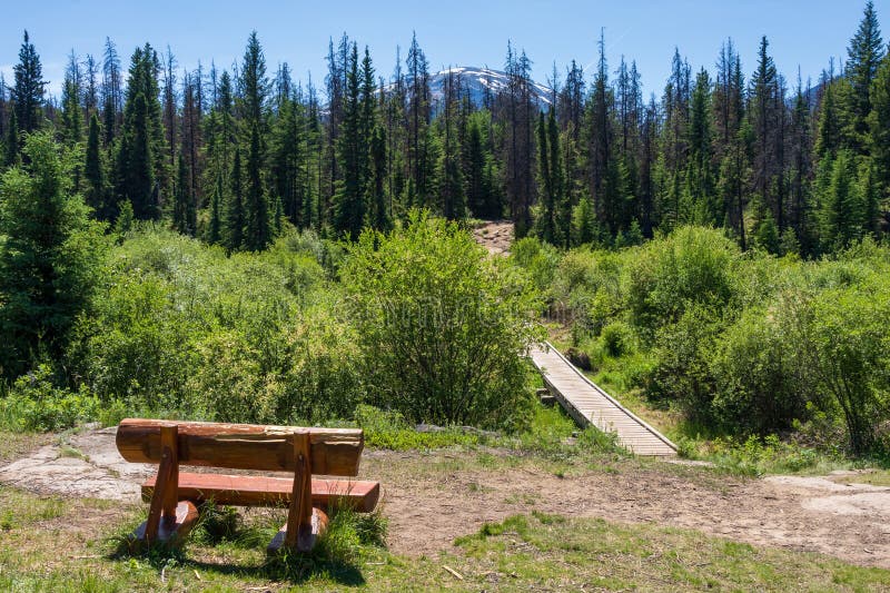Wooden bench on the hiking trail to Valley of the Five Lakes, Jasper National Park stock photo
