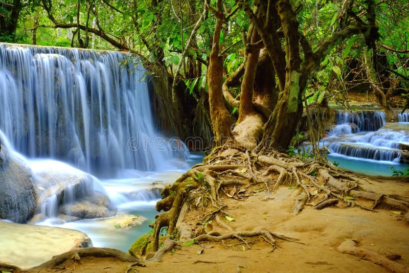 Dschungelwasserfall und alter Baum mit vorstehenden Wurzeln in Kuang Si nahe Luang Prabang in Laos, Südostasien lizenzfreies stockbild Dschungelwasserfall und alter Baum mit vorstehenden Wurzeln in Kuang Si nahe Luang Prabang in Laos, Südostasien lizenzfreies stockbild