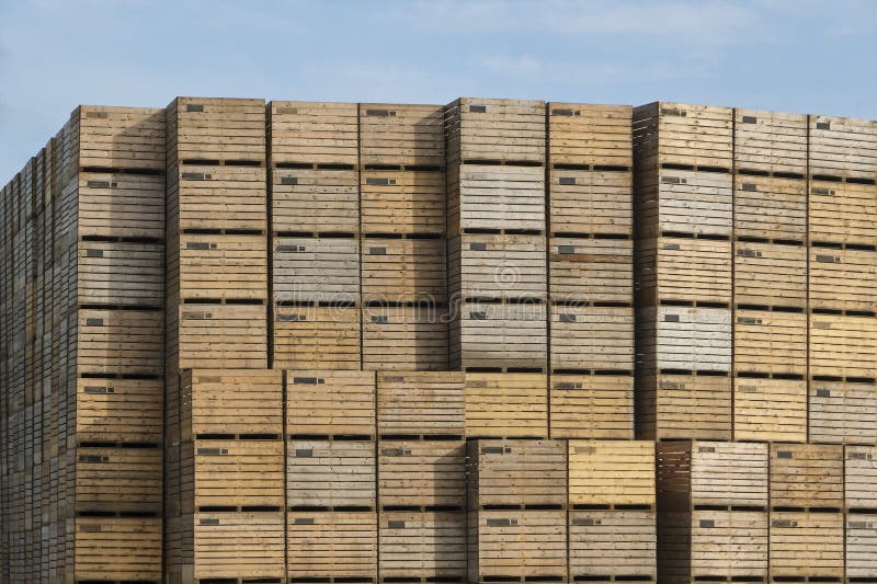 Stacked wooden crates on a farm in preparation for the potato harvest stock photography