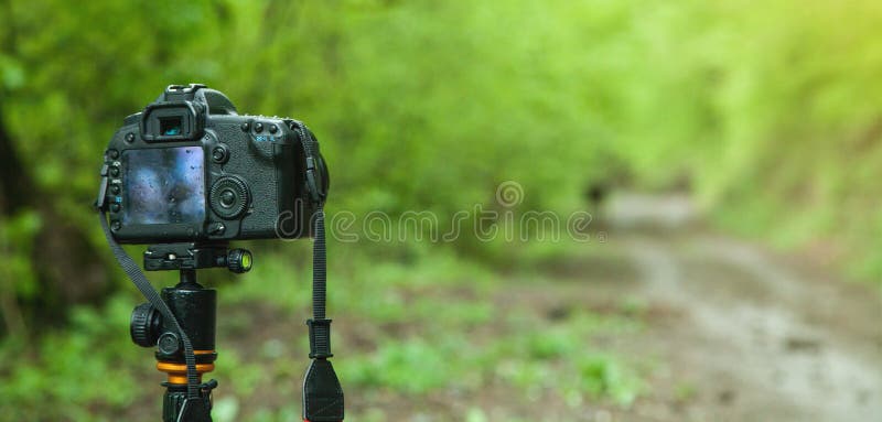 DSLR Camera in Forest Background Stock Image - Image of digital, travel:  147910565
