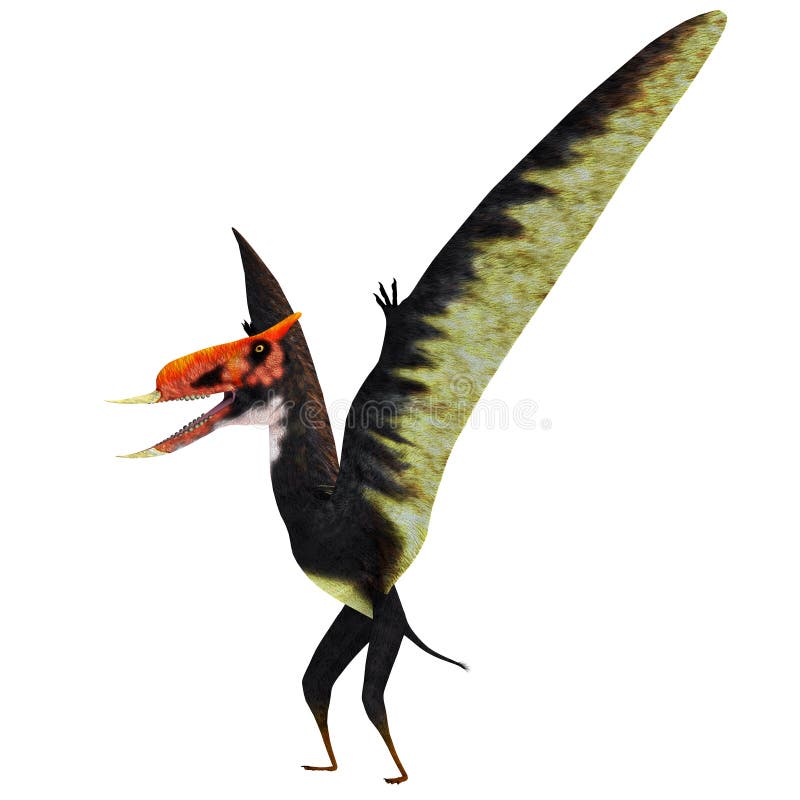 Pterosaur Standing Stock Illustrations – 48 Pterosaur Standing Stock  Illustrations, Vectors & Clipart - Dreamstime