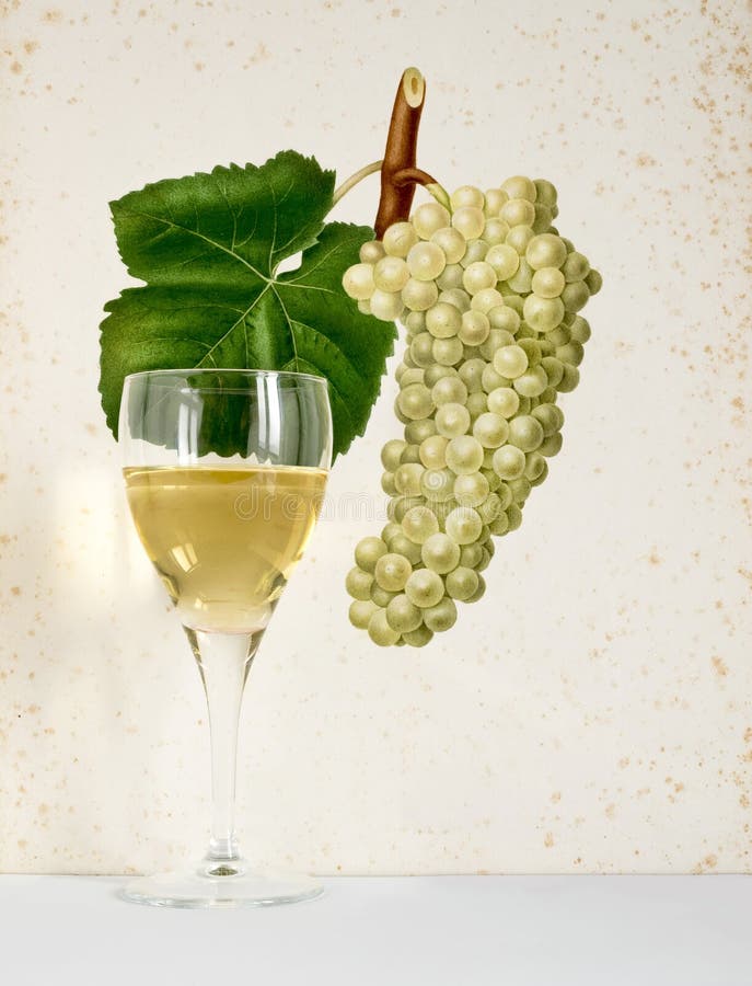 Du raisin au verre de vin photos stock Du raisin au verre de vin photos stock