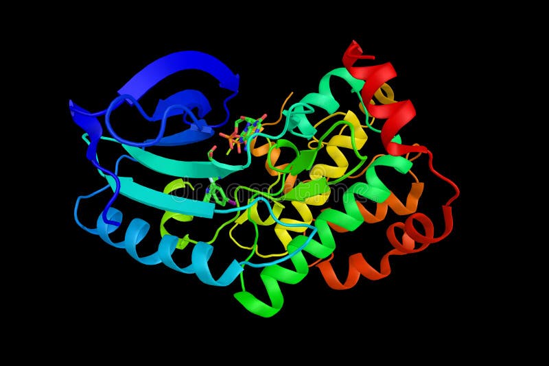 Dual Specificity Mitogenactivated Protein Kinase Kinase 1, an E Stock
